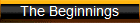 The Beginnings