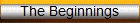 The Beginnings